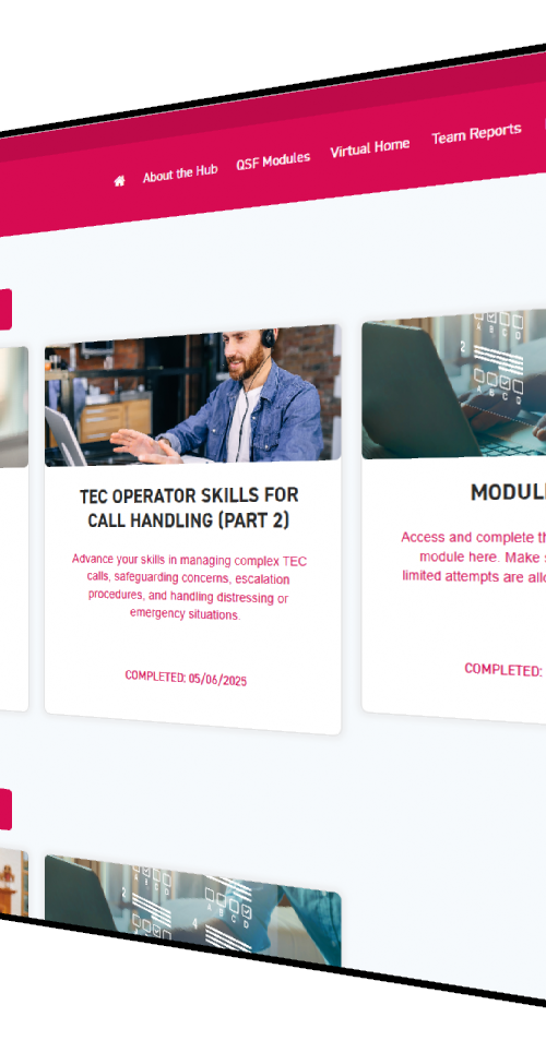 Screenshot from TSA Learning Hub